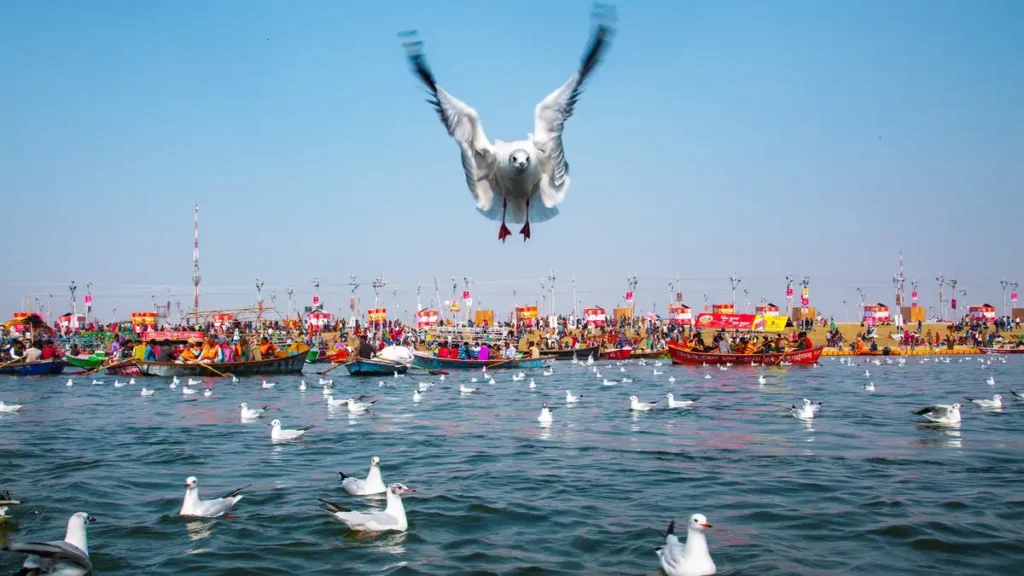 Triveni Sangam Prayagraj tour with a official guide
